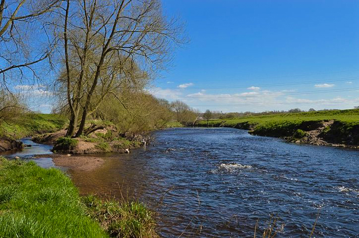 Mersey Vale nature park